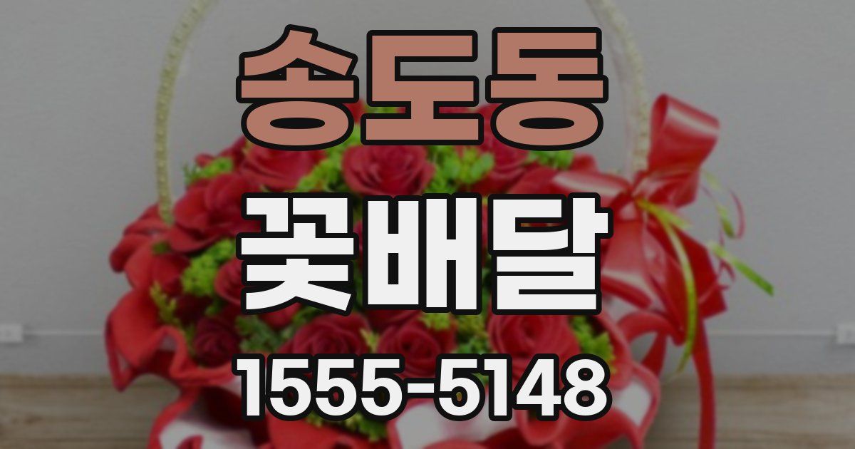송도동 꽃배달