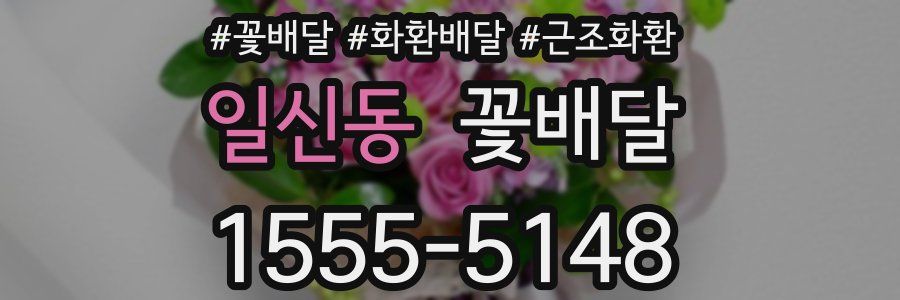 일신동 꽃배달