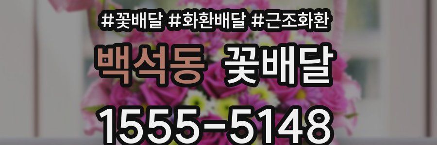 백석동 꽃배달