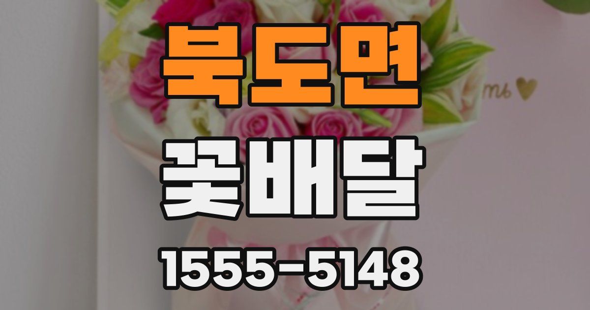 북도면 꽃배달
