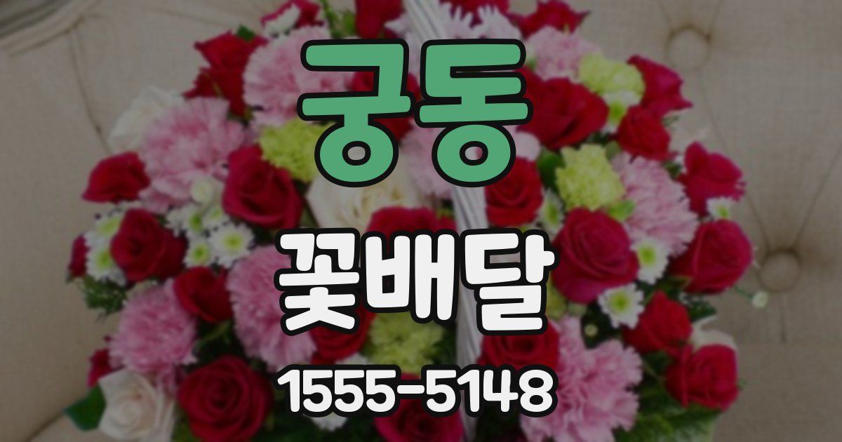 궁동 꽃배달