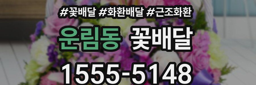 운림동 꽃배달