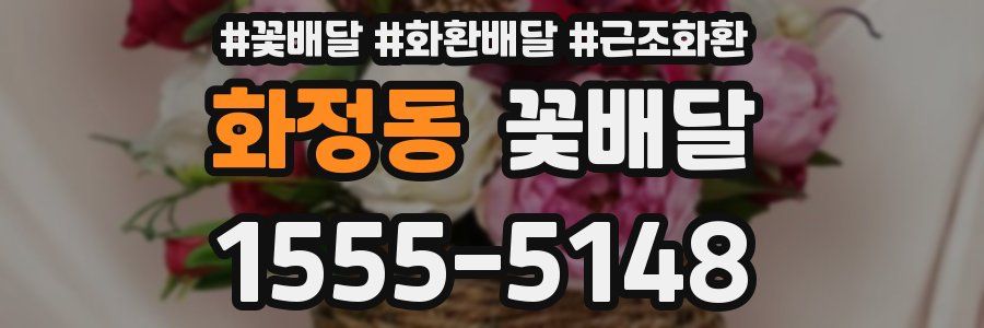 화정동 꽃배달
