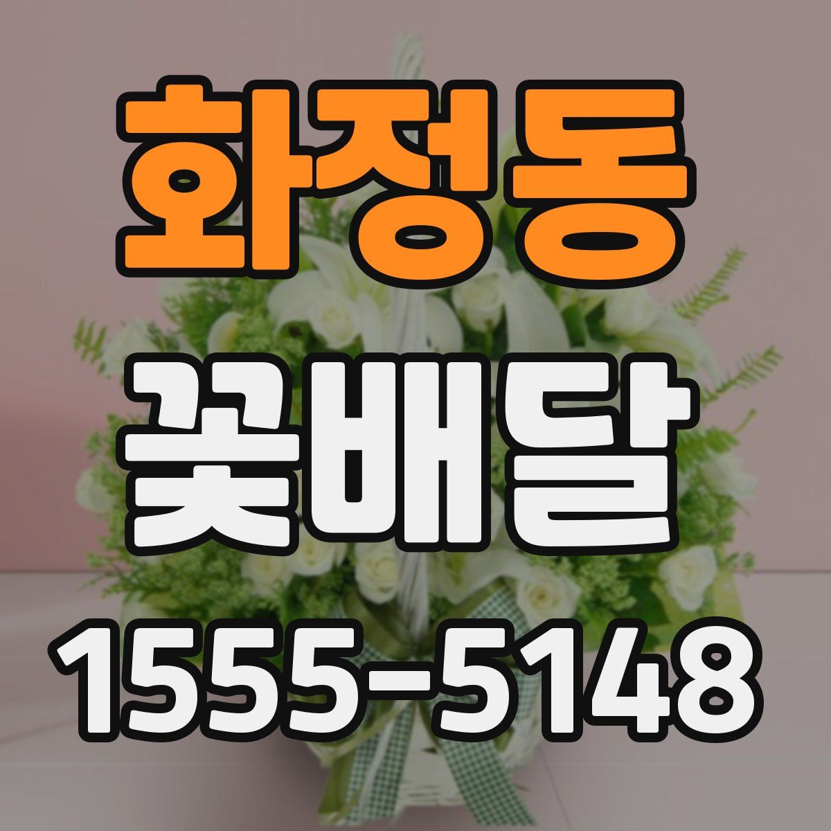 화정동 꽃배달