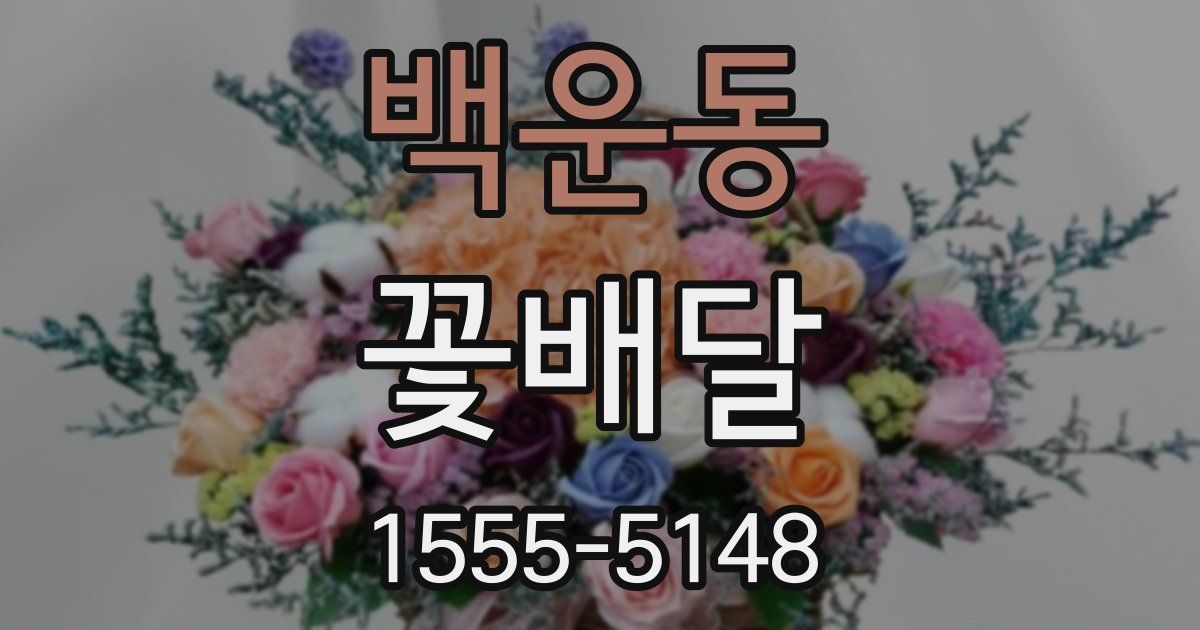백운동 꽃배달