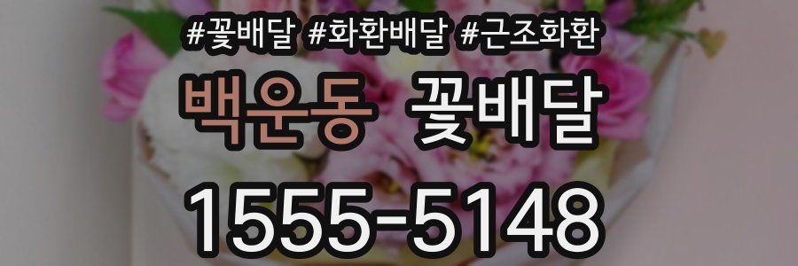 백운동 꽃배달