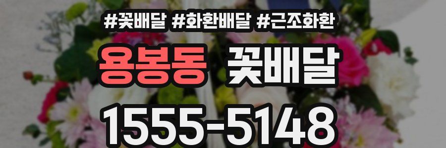용봉동 꽃배달