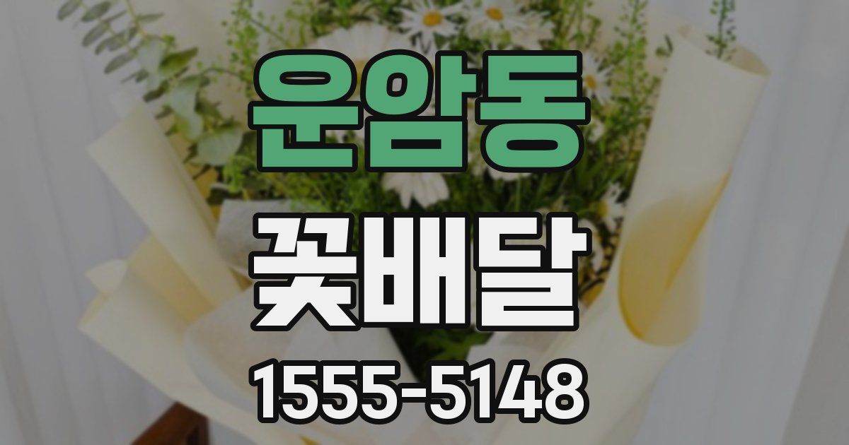운암동 꽃배달