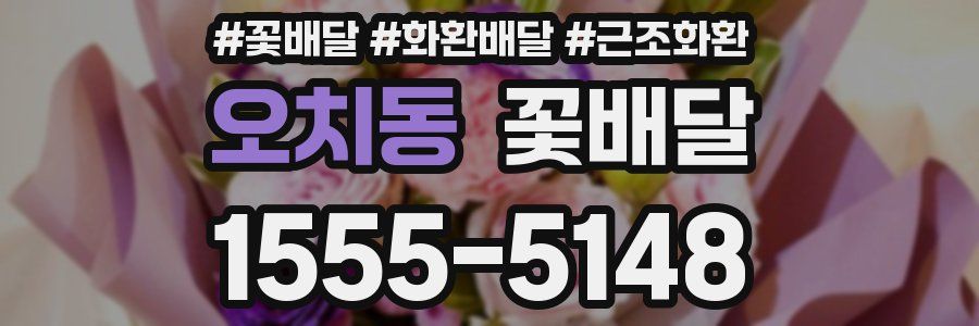 오치동 꽃배달