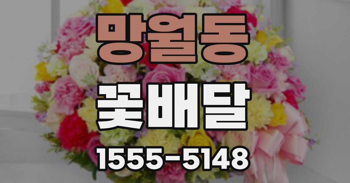 망월동 꽃배달
