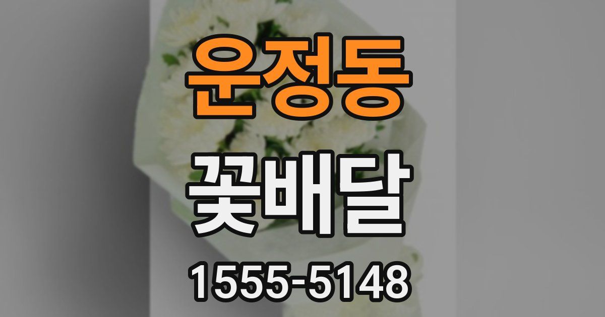 운정동 꽃배달