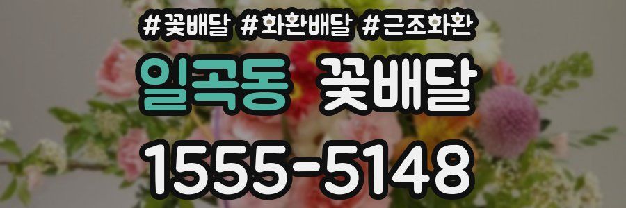 일곡동 꽃배달
