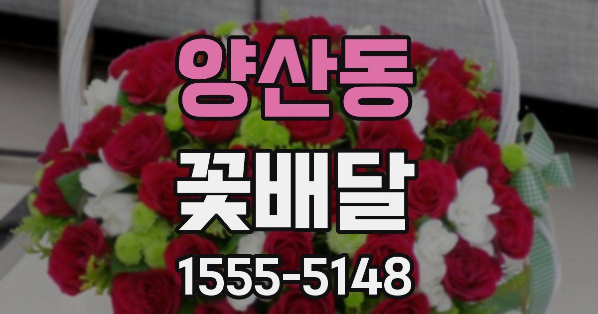 양산동 꽃배달