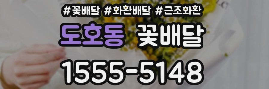 도호동 꽃배달