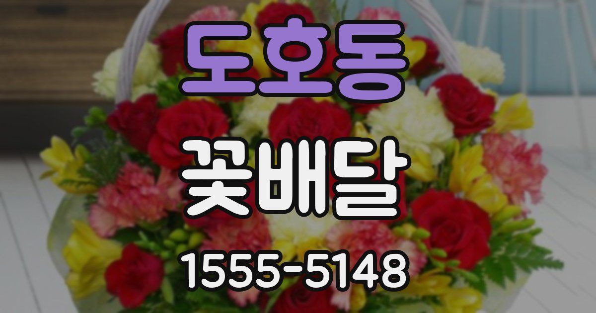 도호동 꽃배달
