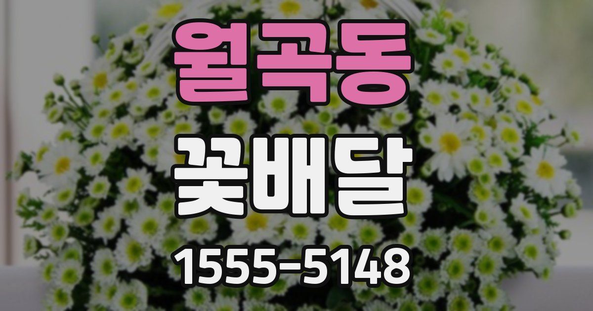 월곡동 꽃배달