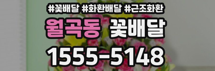 월곡동 꽃배달
