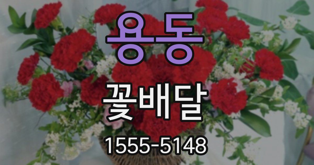 용동 꽃배달