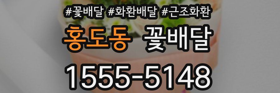 홍도동 꽃배달