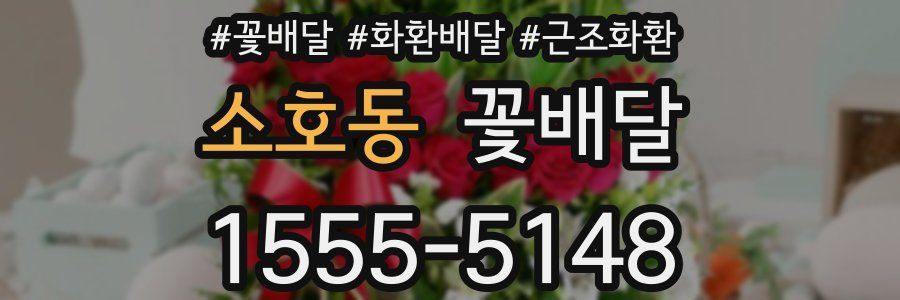 소호동 꽃배달