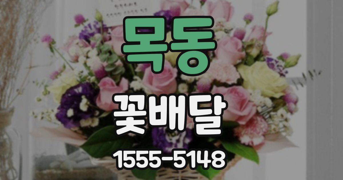 목동 꽃배달