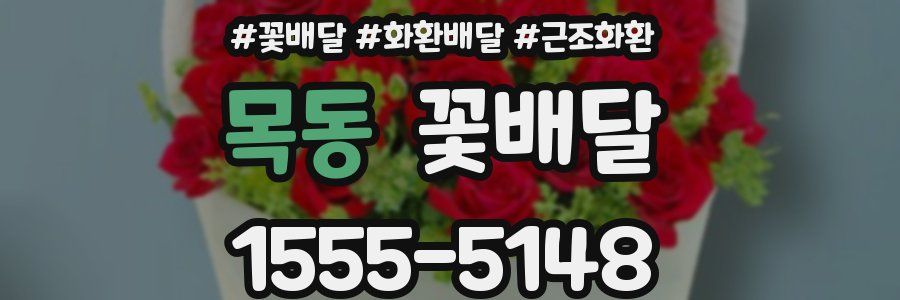 목동 꽃배달