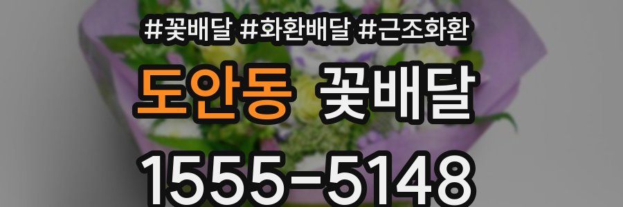 도안동 꽃배달