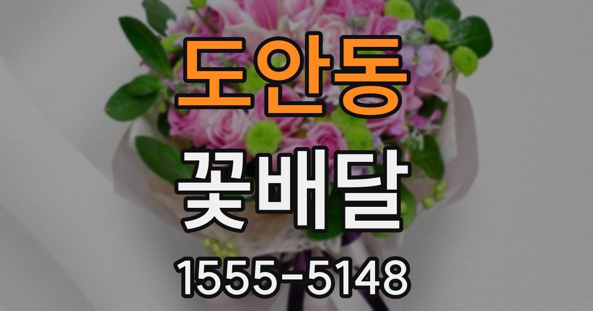 도안동 꽃배달
