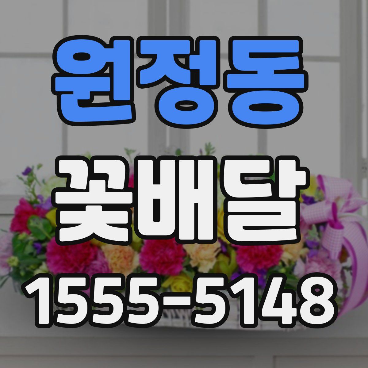 원정동 꽃배달
