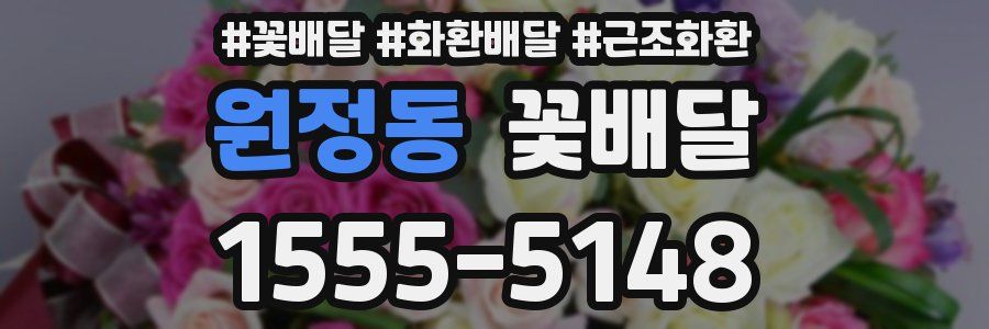 원정동 꽃배달