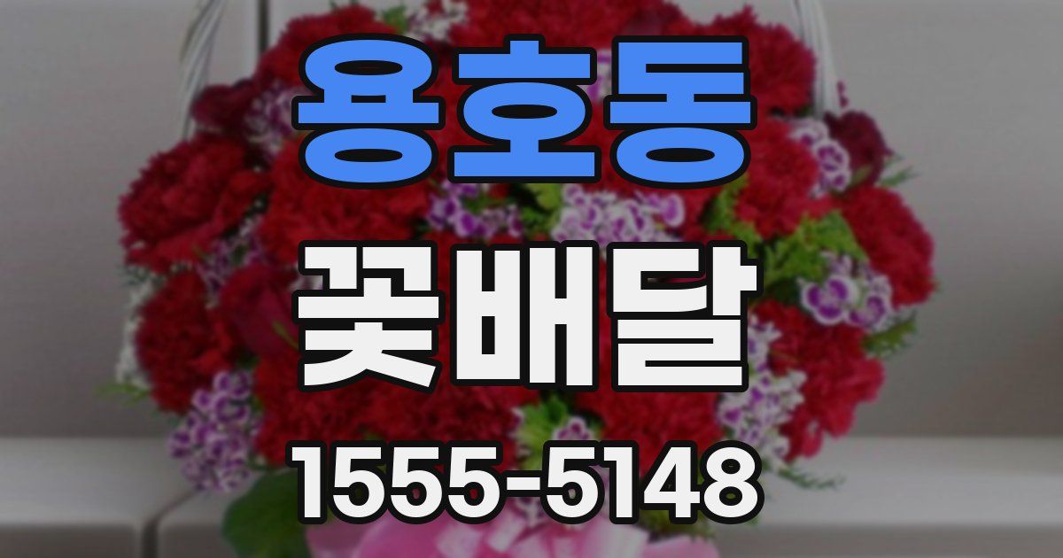 용호동 꽃배달