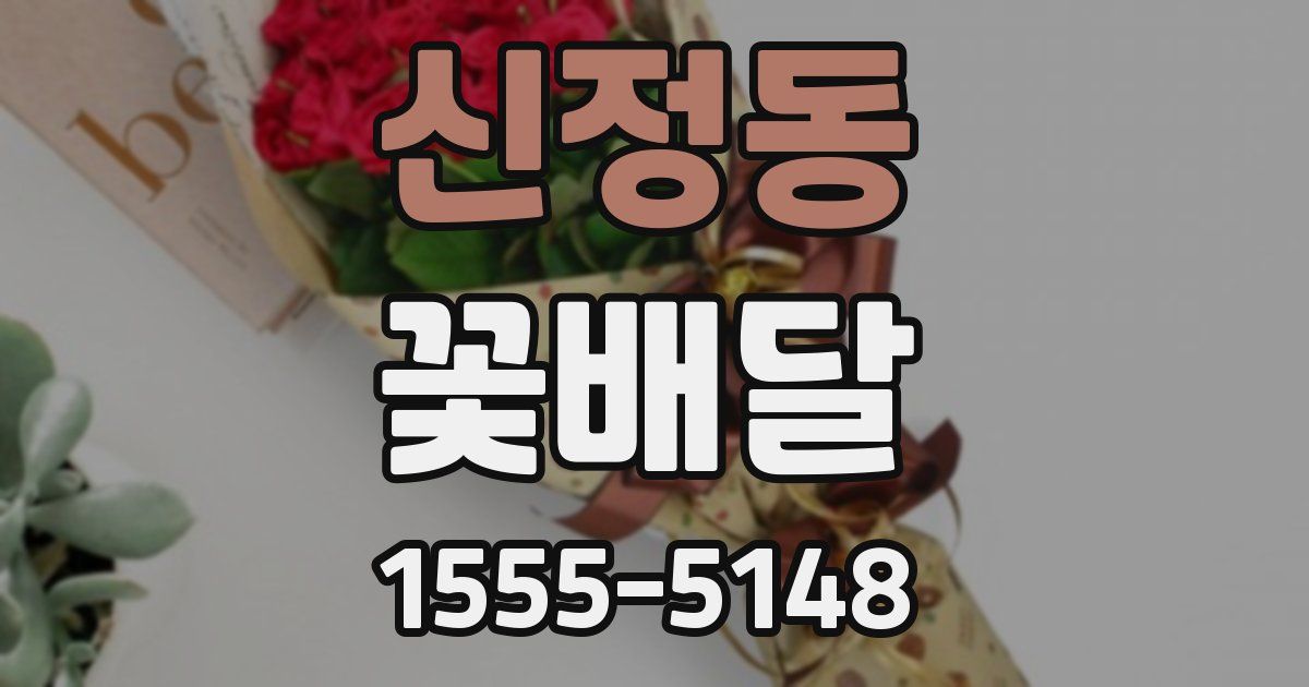 신정동 꽃배달