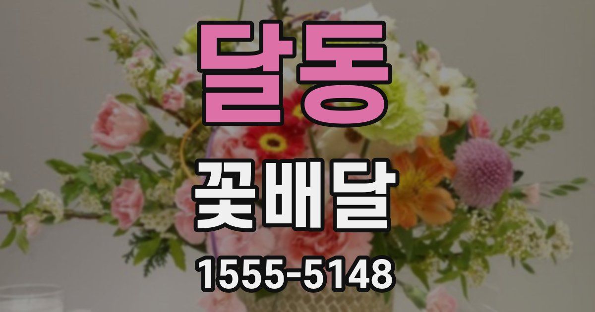 달동 꽃배달