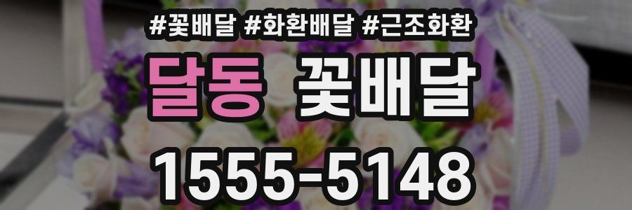달동 꽃배달