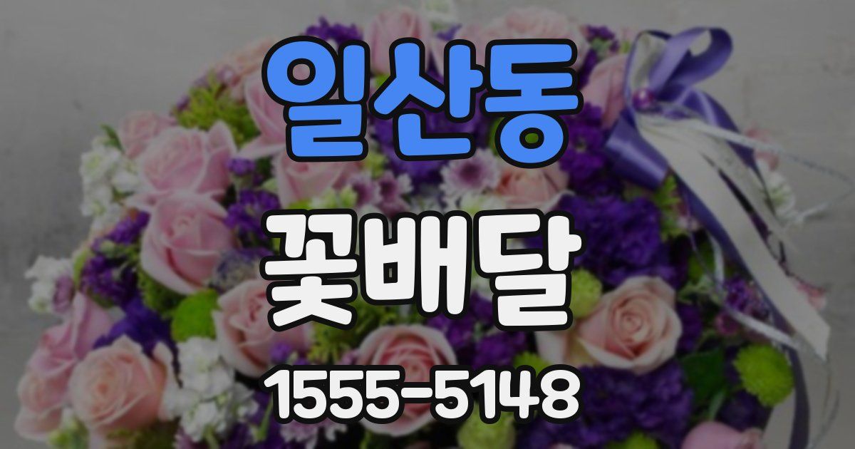일산동 꽃배달