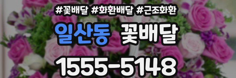 일산동 꽃배달