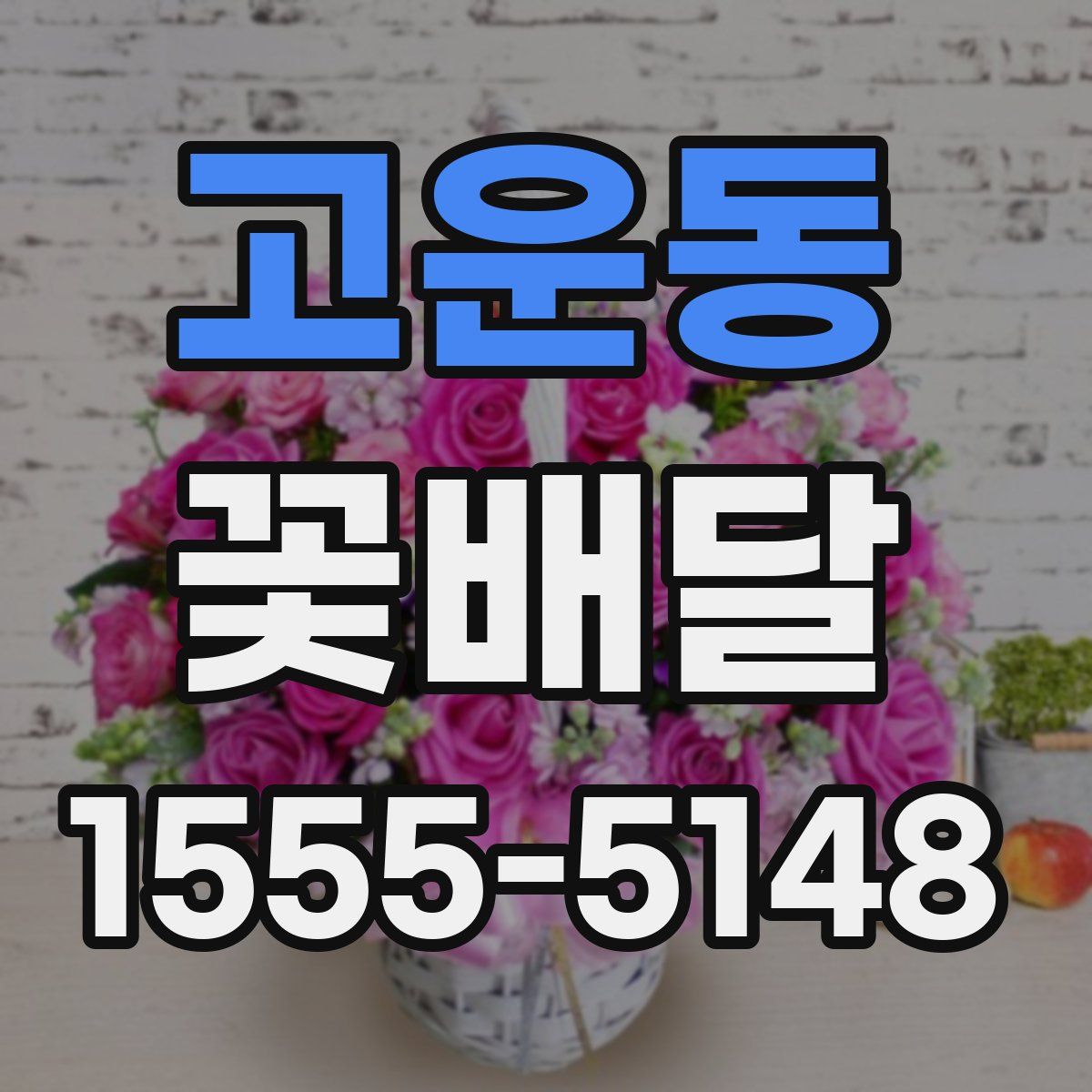 고운동 꽃배달