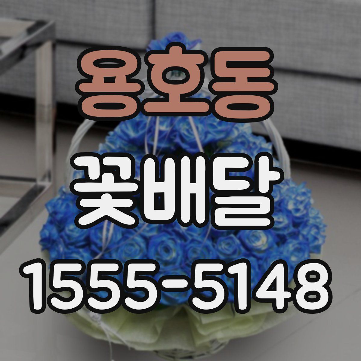 용호동 꽃배달