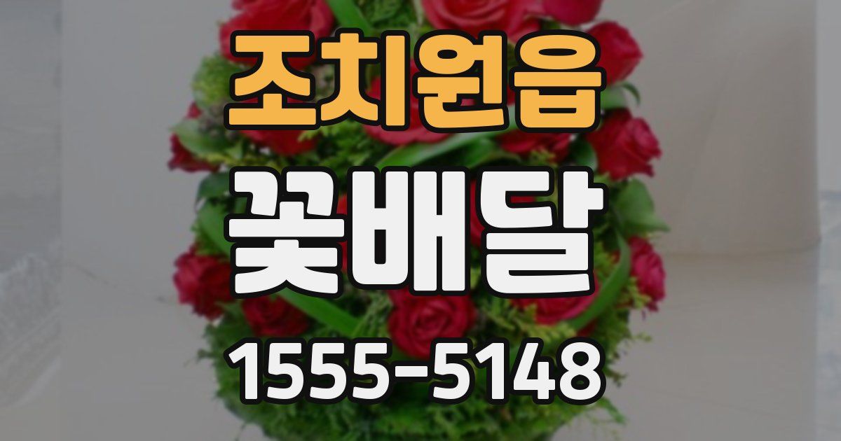 조치원읍 꽃배달