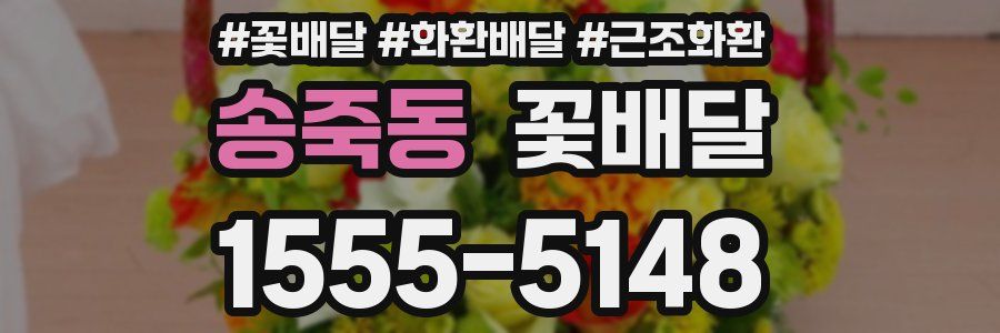 송죽동 꽃배달