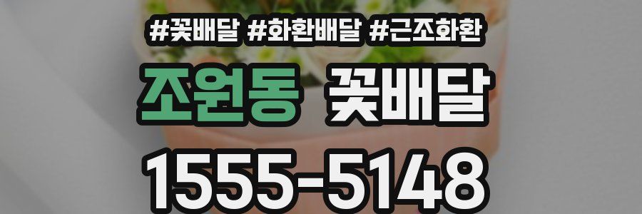 조원동 꽃배달
