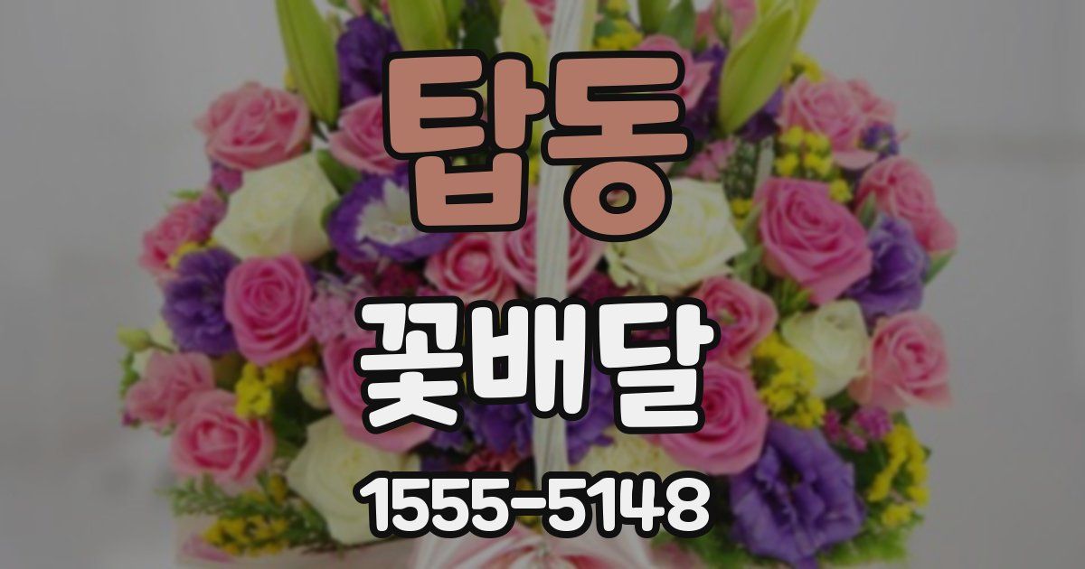 탑동 꽃배달