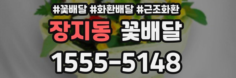 장지동 꽃배달