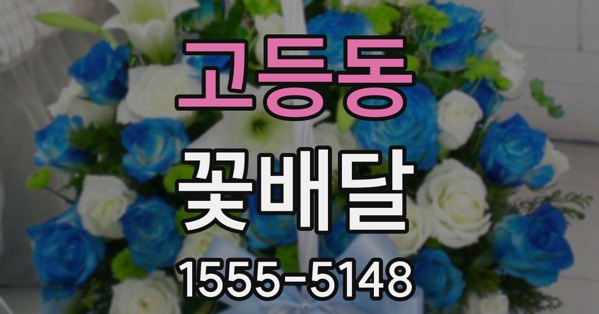 고등동 꽃배달