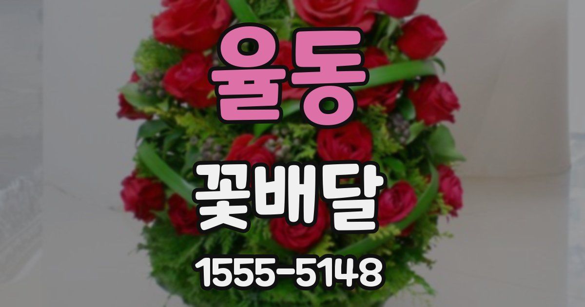 율동 꽃배달