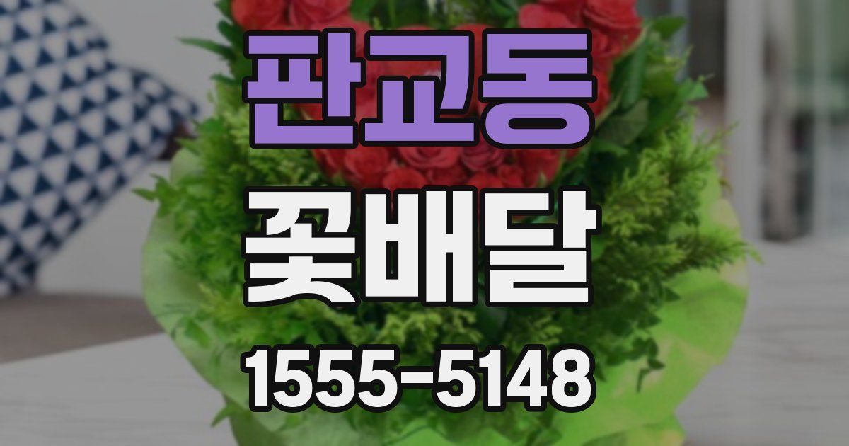 판교동 꽃배달