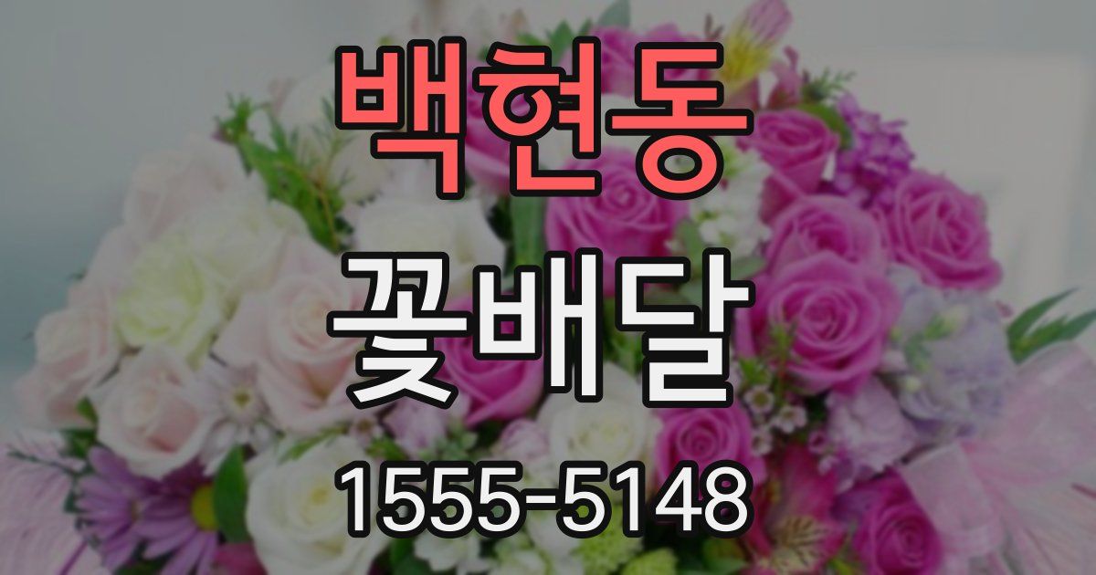 백현동 꽃배달