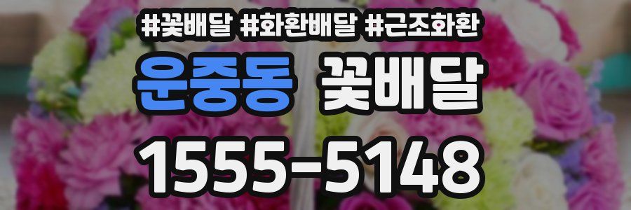 운중동 꽃배달