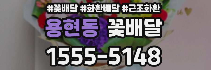 용현동 꽃배달