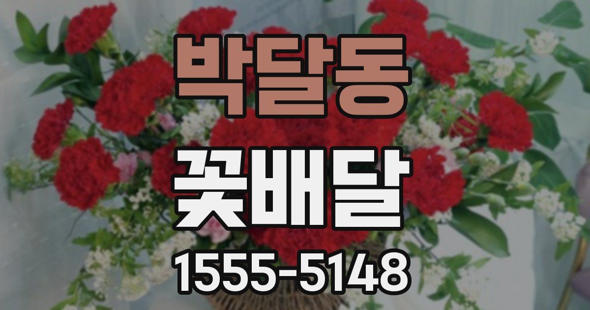 박달동 꽃배달